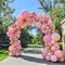 Pink Balloon Garland Arch Kit (Pestal Pink) 8 x 6 x 0.2 inches